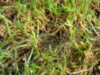 DSC03177 - Kopie.webp