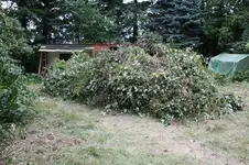 garten_stufe2.webp