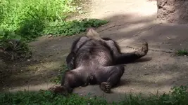 Ausflug Nürnberger Tiergarten 22.08.2010 183.webp