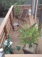 DSC03846.webp