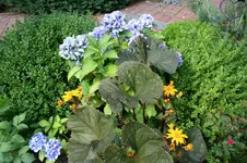 IMG_2297.webp