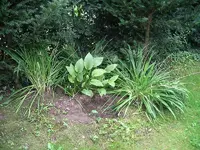 IMGP0003.webp