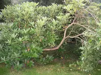 IMGP0001.webp