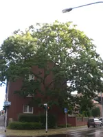 CIMG7149.webp