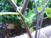 DSCF3933.webp