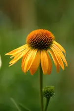 IMG_6256.webp