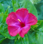DSC_0021.webp