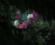 Sippnenblumen.webp