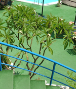 DSC08134_1.webp