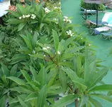 DSC08530_1.webp