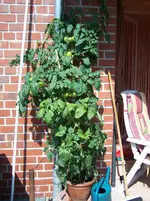 100_2473.webp