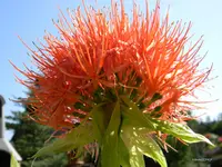 DSCN1417.webp