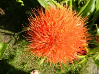 DSCN1415.webp
