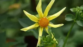 DSC03926.webp