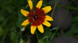 DSC03940.webp