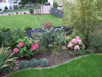 hortensien.webp