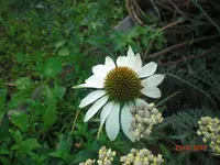 CIMG5215.webp