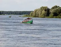 P8198945 Oder.webp