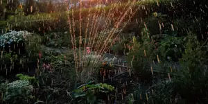 +Berieselung im Abendlicht.webp