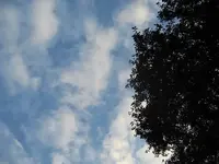 Morgens im August, kurz vor Sonnenaufgang.webp