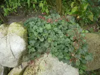 P8220154.webp