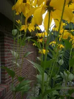 P8220156.webp