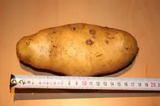 20100824 016.webp