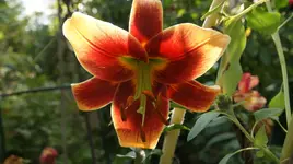 DSC03958.webp