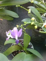 24.08.10 023.webp