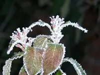 100_1049.webp