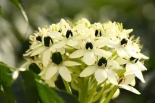 IMG_6326.webp