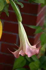 IMG_6313.webp