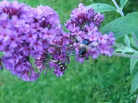 DSCF3930.webp