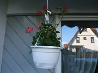DSCF3935.webp
