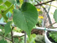 DSCF3970.webp