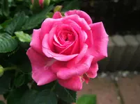DSCF3964.webp