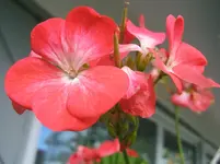DSCF3972.webp