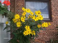 HPIM5360.webp