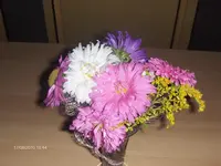 HPIM5289.webp