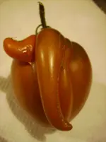 Früchte 002.webp