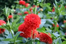 IMG_2364 - Kopie.webp IMG_2364 - Kopie.webp