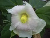 PICT0128.webp