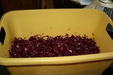 Blaukraut.webp