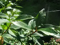 DSCF3947.webp
