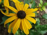 DSCF3965.webp
