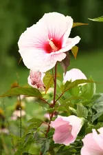 IMG_6404.webp