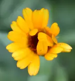 IMG_4967.webp