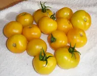 066.webp