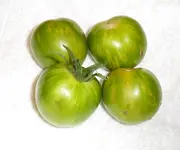 061.webp