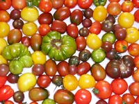 081.webp